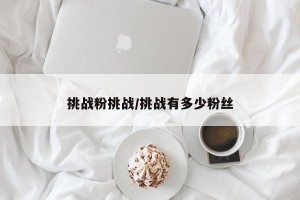 挑战粉挑战/挑战有多少粉丝