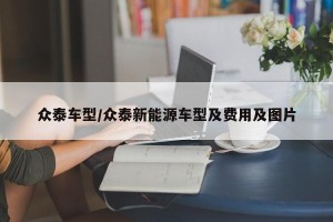众泰车型/众泰新能源车型及费用及图片