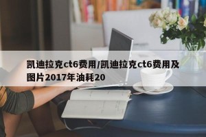 凯迪拉克ct6费用/凯迪拉克ct6费用及图片2017年油耗20