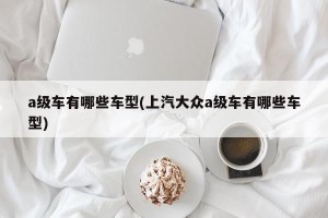 a级车有哪些车型(上汽大众a级车有哪些车型)